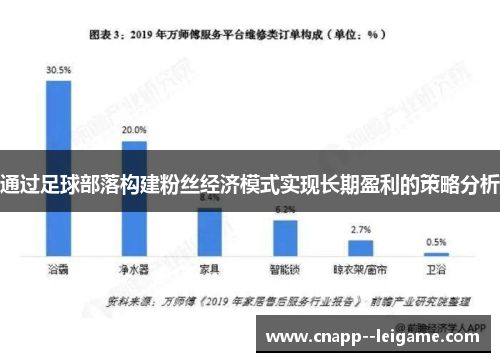 通过足球部落构建粉丝经济模式实现长期盈利的策略分析 通过足球部落构建粉丝经济模式实现长期盈利的策略分析