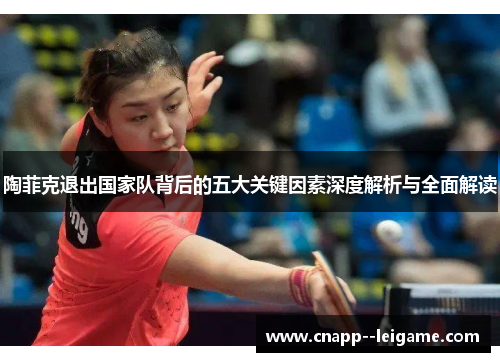 陶菲克退出国家队背后的五大关键因素深度解析与全面解读