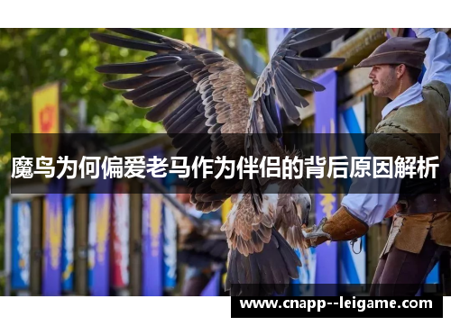 魔鸟为何偏爱老马作为伴侣的背后原因解析