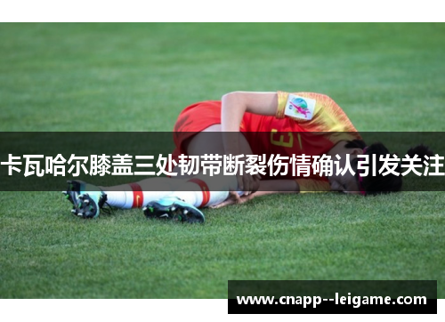 卡瓦哈尔膝盖三处韧带断裂伤情确认引发关注 卡瓦哈尔膝盖三处韧带断裂伤情确认引发关注