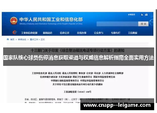 国家队核心球员伤停消息获取渠道与权威信息解析指南全面实用方法