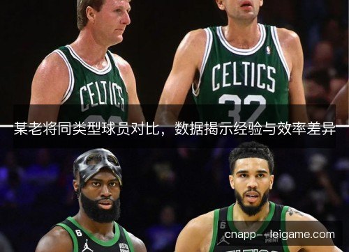 某老将同类型球员对比，数据揭示经验与效率差异